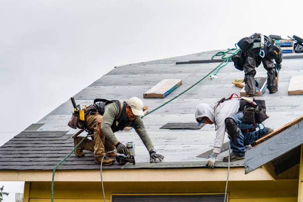 Professional Roofing technician working in Canandaigua, NY